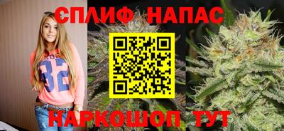 стафф Белореченск