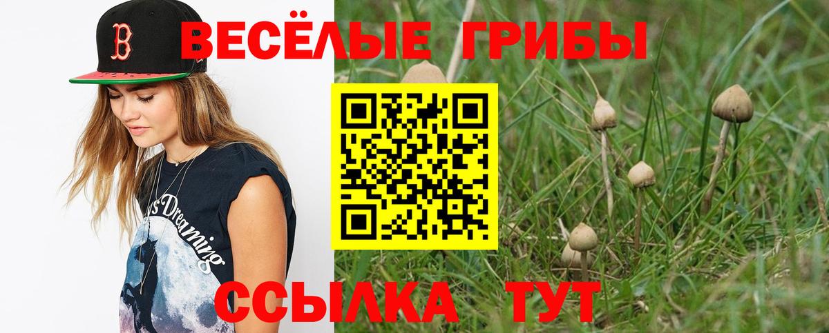 Псилоцибиновые грибы мицелий Бийск