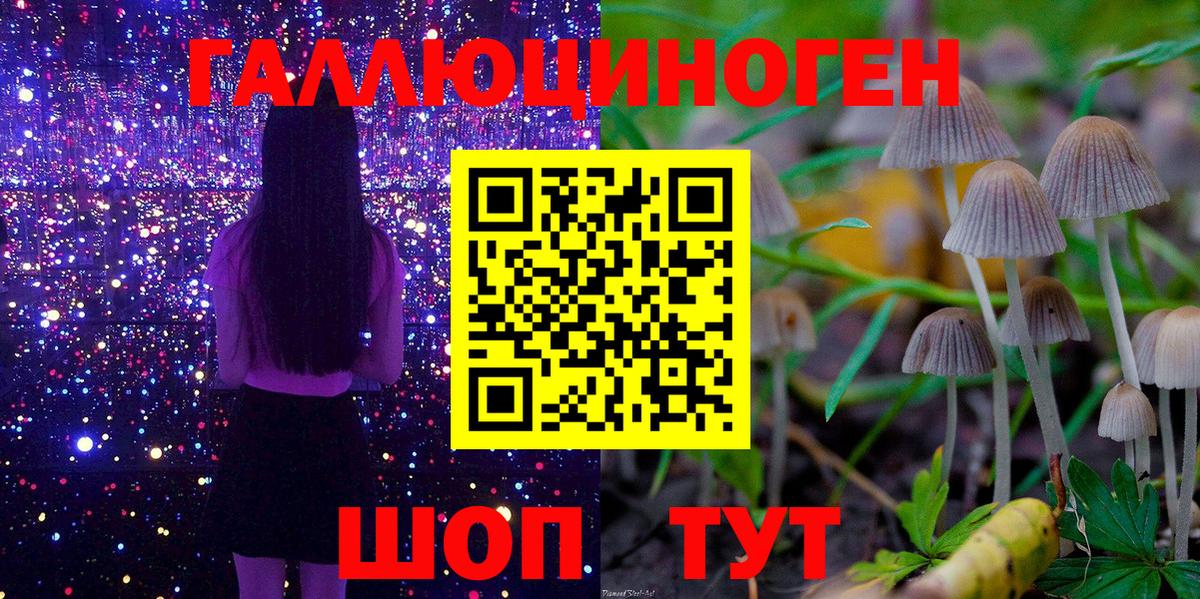 Псилоцибиновые грибы Psilocybe  Вход с VPN  Бийск 